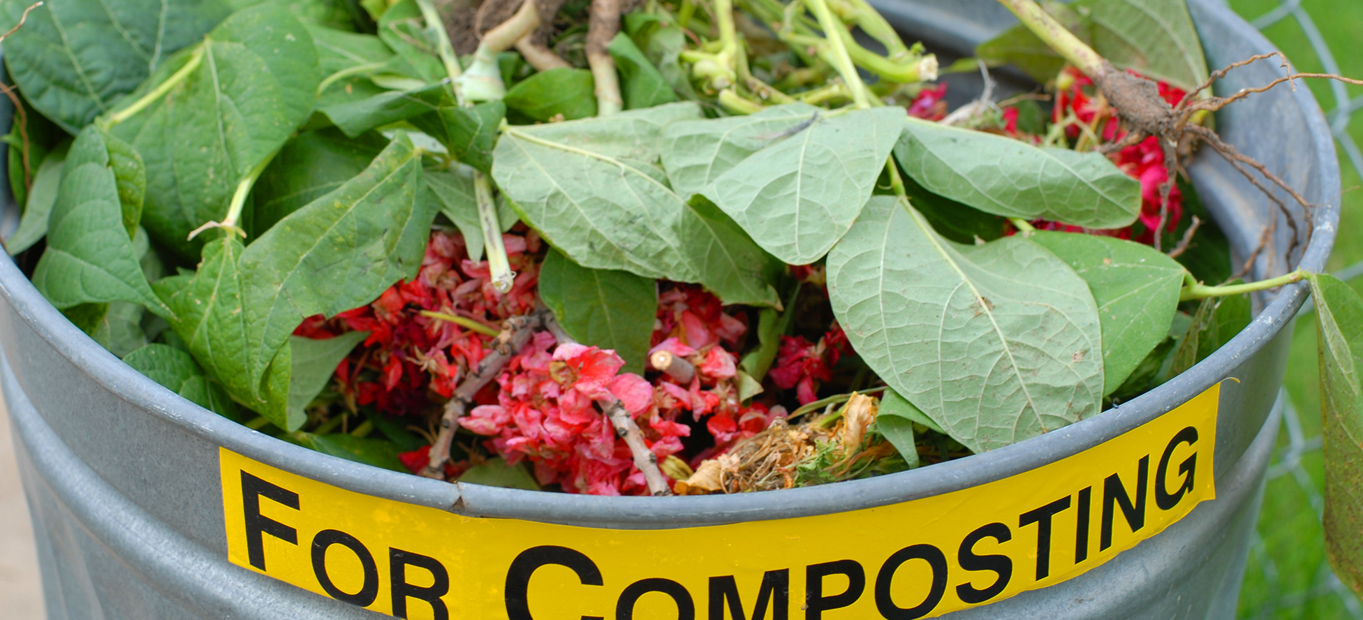 Metal container with plant clippings and food intended for compost pile